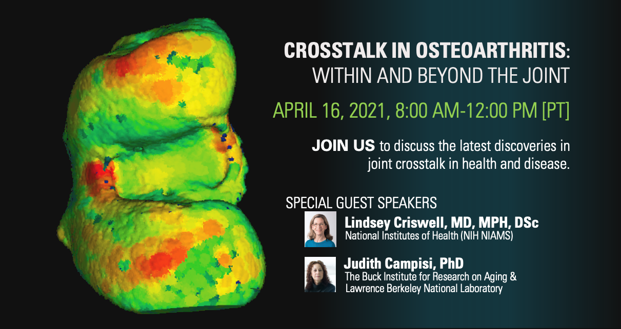 Crosstalk in Osteoarthritis: Within and Beyond the Joint (04/16/2021)